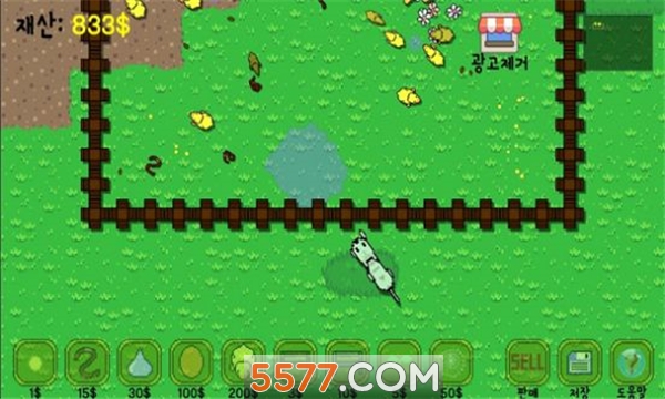 小鸡也疯狂红包版