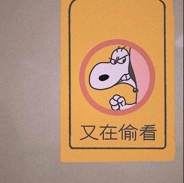 允许朋友圈偷看背景图易烊千玺图片